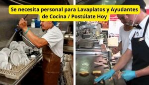 ayudantes